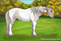 Horse Color:Silver Grullo Tobiano