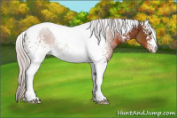 Horse Color:White Spotted Silver Brown Tobiano 