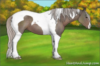 Horse Color:Silver Black Tobiano