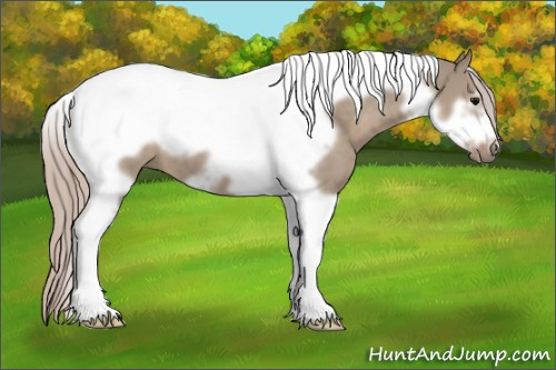 Horse Color:Silver Grullo Tobiano Frame 