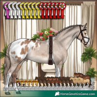 Horse Color:Liver Red Dun Sabino Tobiano Appaloosa Rabicano