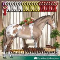 Horse Color:Liver Red Dun Sabino Tobiano Appaloosa Rabicano