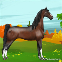 Horse Color:Brown 