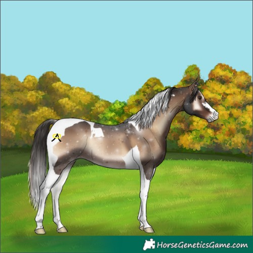 Horse Color:Liver Red Onyx Tobiano 