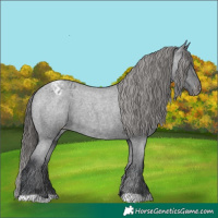 Horse Color:Blue Roan Varnish 
