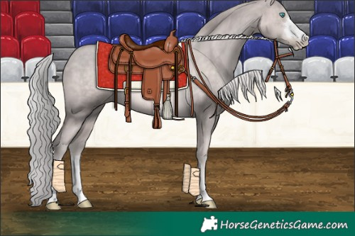 Horse Color:Platinum Chocolate Palomino Pearl 