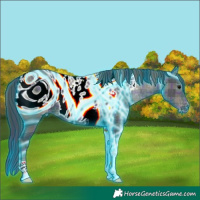 Horse Color:ERROR: UNKNOWN ANOMALY