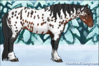 Horse Color:Brown Tobiano Near Leopard 
