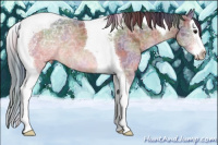 Horse Color:Nacre Brown Ice Splash Tobiano 