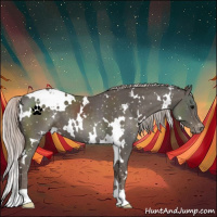 Horse Color:White Spotted Silver Black Snowflake Varnish 