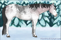 Horse Color:White Spotted Chocolate Black Ice Varnish Rabicano 