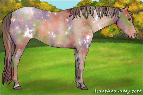 Horse Color:Nacre White Spotted Brown Pearl Rabicano 