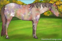 Horse Color:Nacre White Spotted Brown Pearl Rabicano 