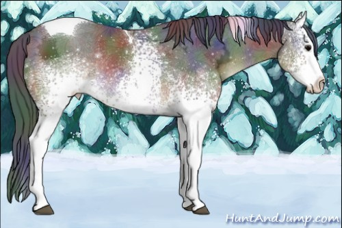 Horse Color:Nacre White Spotted Brown Ice Tobiano Rabicano 