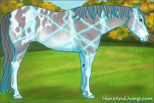 Horse Color:Thunderstruck Chocolate Sable Champagne Chinchilla Sabino Blanket Rabicano