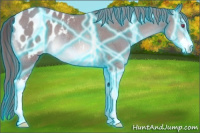 Horse Color:Thunderstruck Chocolate Sable Champagne Chinchilla Sabino Blanket Rabicano 