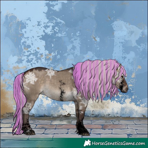 Horse Color:Void Painted Silver Brown Ice Dun Sabino