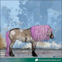 Horse Color:Void Painted Silver Brown Ice Dun Sabino 