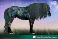 Horse Color:ERROR: UNKNOWN ANOMALY