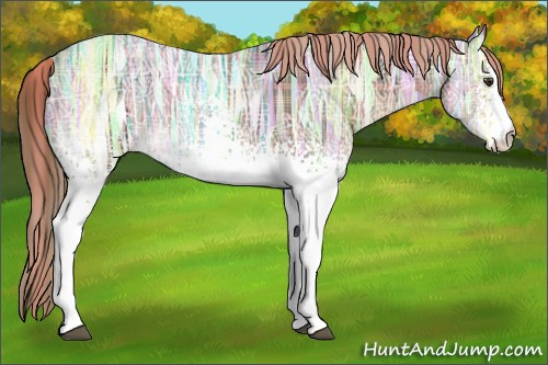 Horse Color:Plaid  White Spotted Liver Chestnut Ice 