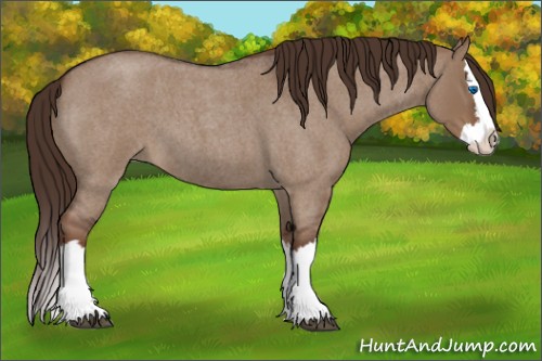 Horse Color:Liver Red Dun Roan Sabino Splash 