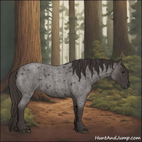 Horse Color:Smoky Blue Roan Sabino Rabicano 