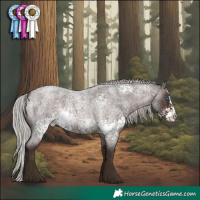 Horse Color:White Spotted Silver Brown Roan Splash Rabicano