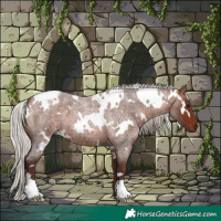 Horse Color:White Spotted Silver Brown Roan 