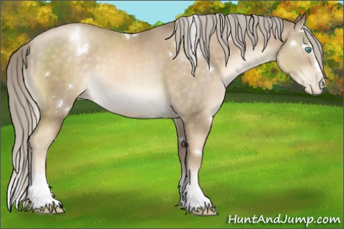 Horse Color:White Spotted Chocolate Palomino Pearl 