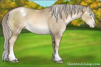 Horse Color:White Spotted Chocolate Palomino Pearl