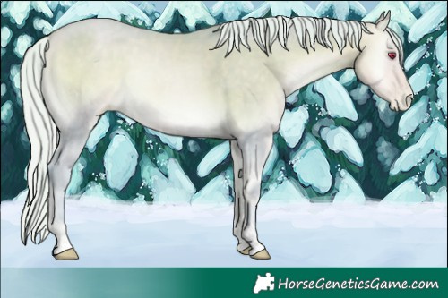 Horse Color:Watercolor Silver Buckskin Chinchilla Pearl Onyx Sabino 
