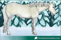 Horse Color:Watercolor Silver Buckskin Chinchilla Pearl Onyx Sabino