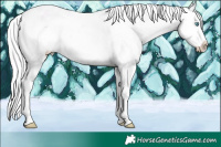 Horse Color:Watercolor Plaid  Chocolate Silver Sable Cream Champagne Pearl Onyx Sabino Appaloosa 
