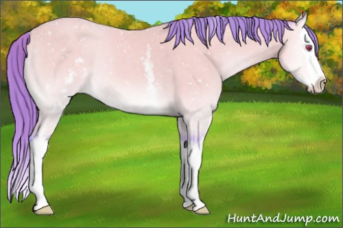 Horse Color:Watercolor White Spotted Chocolate Sable Cream Champagne Chinchilla Onyx Sabino Splash Snowflake Varnish 
