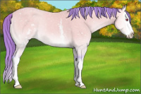 Horse Color:Watercolor White Spotted Chocolate Sable Cream Champagne Chinchilla Onyx Sabino Splash Snowflake Varnish 