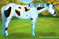 Horse Color:Thunderstruck White Spotted Brown Chinchilla Onyx Sabino Varnish 