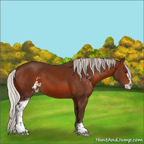 Horse Color:Silver Brown Sabino 