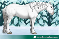 Horse Color:Liver Red Dun Sabino Snowcap 