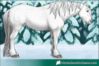 Horse Color:Liver Red Dun Snowcap 