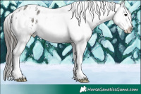 Horse Color:Grullo Sabino Snowflake Varnish 