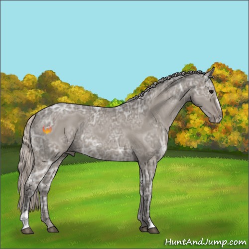 Horse Color:Silver Grullo Ice Sabino 