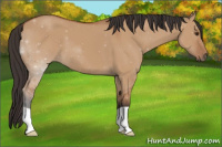Horse Color:ERROR: UNKNOWN ANOMALY