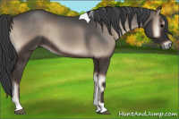 Horse Color:Blue Onyx Tobiano 