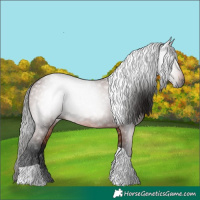 Horse Color:Gray Bay Tobiano Rabicano 