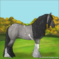 Horse Color:Grullo Roan Tobiano