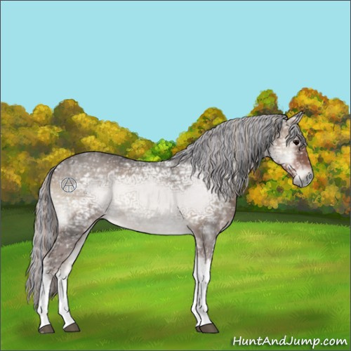 Horse Color:Painted Silver Blue Onyx Ice