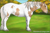 Horse Color:White Spotted Chestnut Tobiano Rabicano