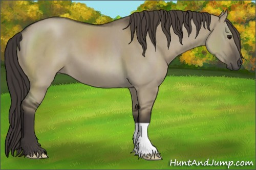 Horse Color:Smoky Grullo 