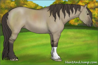 Horse Color:Smoky Grullo 