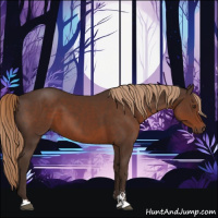 Horse Color:Liver Chestnut Sabino 